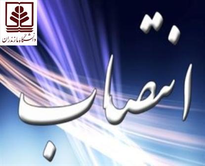 تصویر کوچک